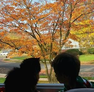 Meet your Posher, Brenda